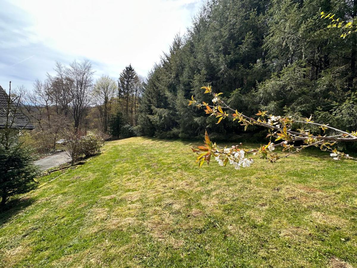 Charming Villa On The Forest In Wald 12 Guests Hugh Garden Willingen Sauerland Brilon Kültér fotó
